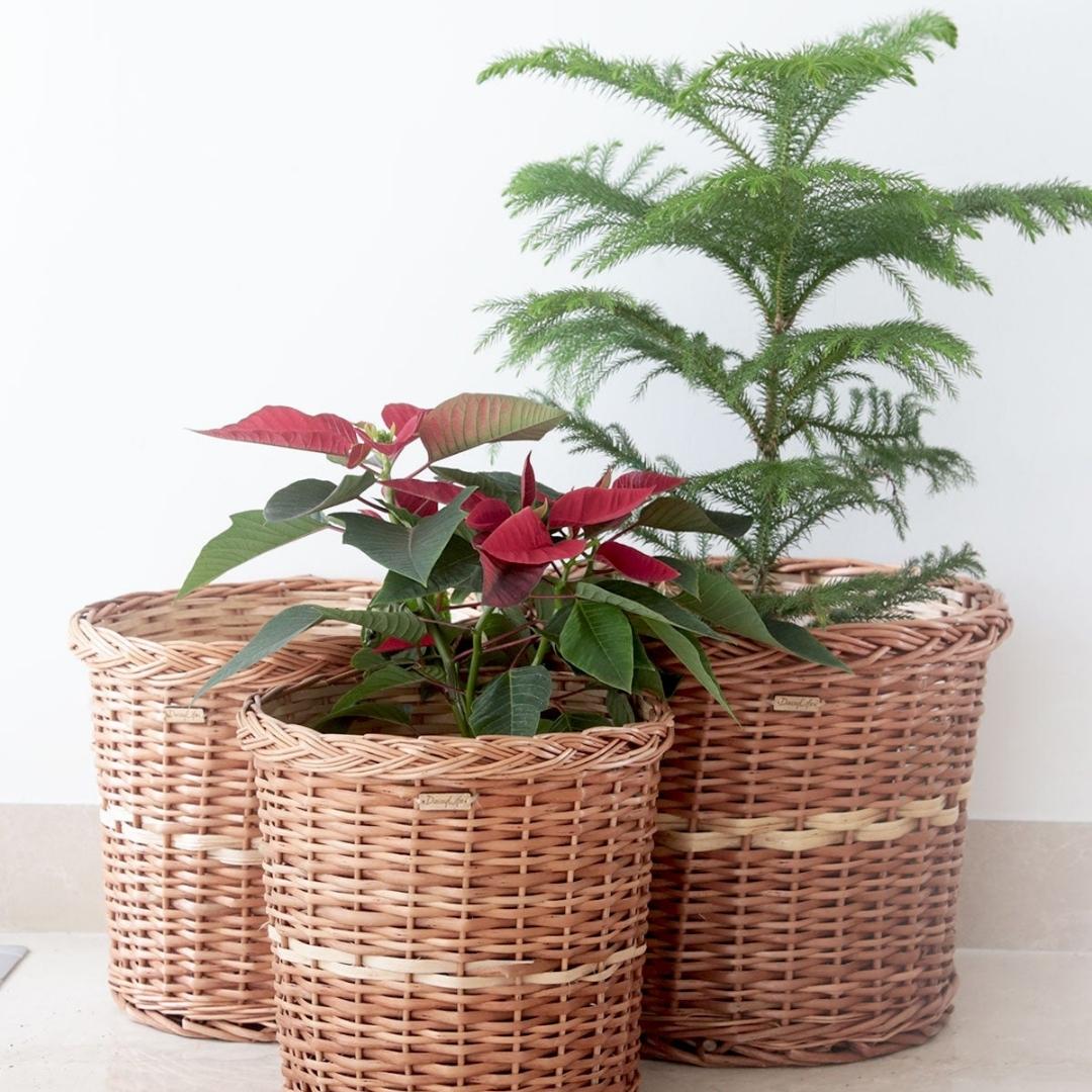 Round Wicker Gift Basket, Set of 3