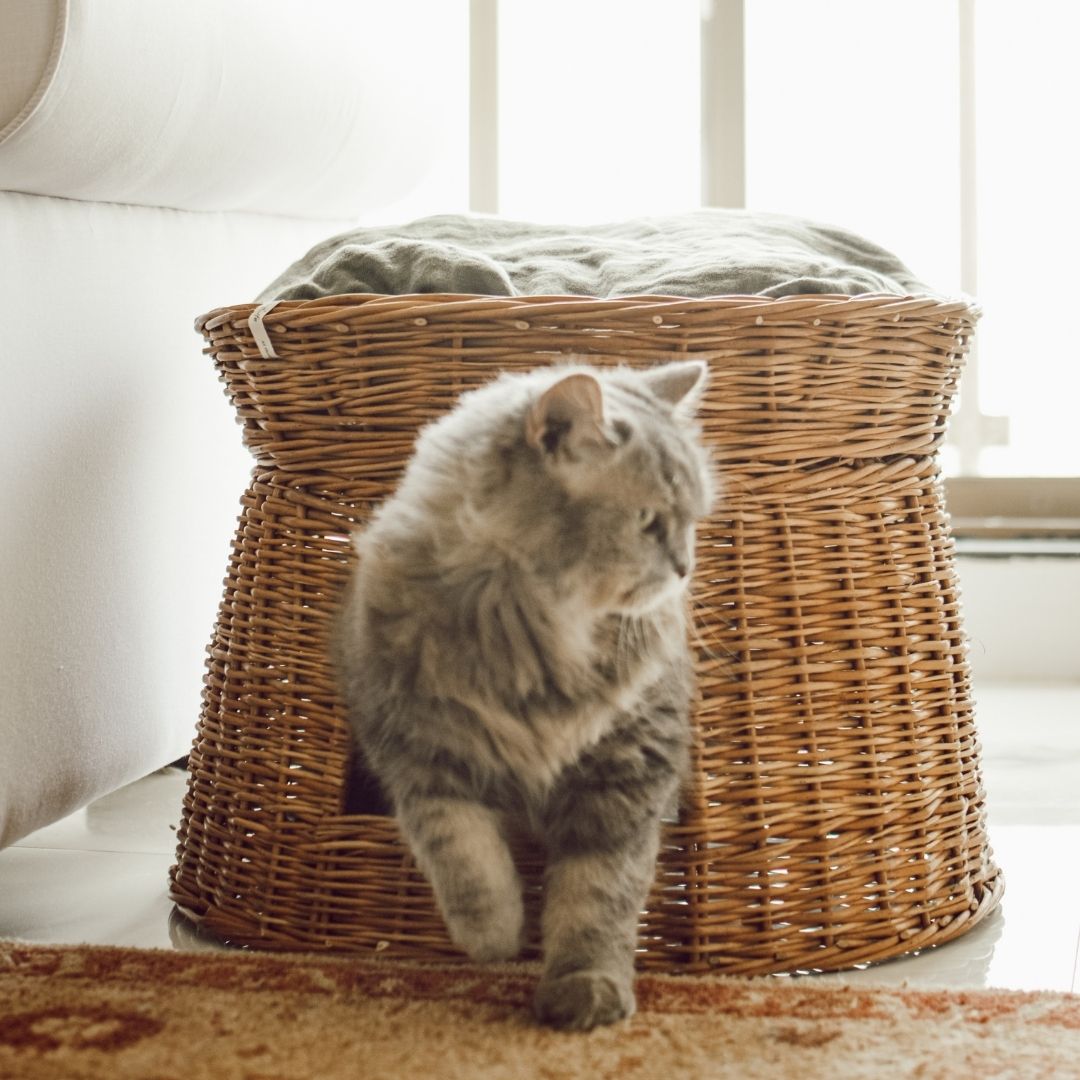 Muzu Wicker Cat Basket