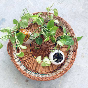 Coffee Table Basket