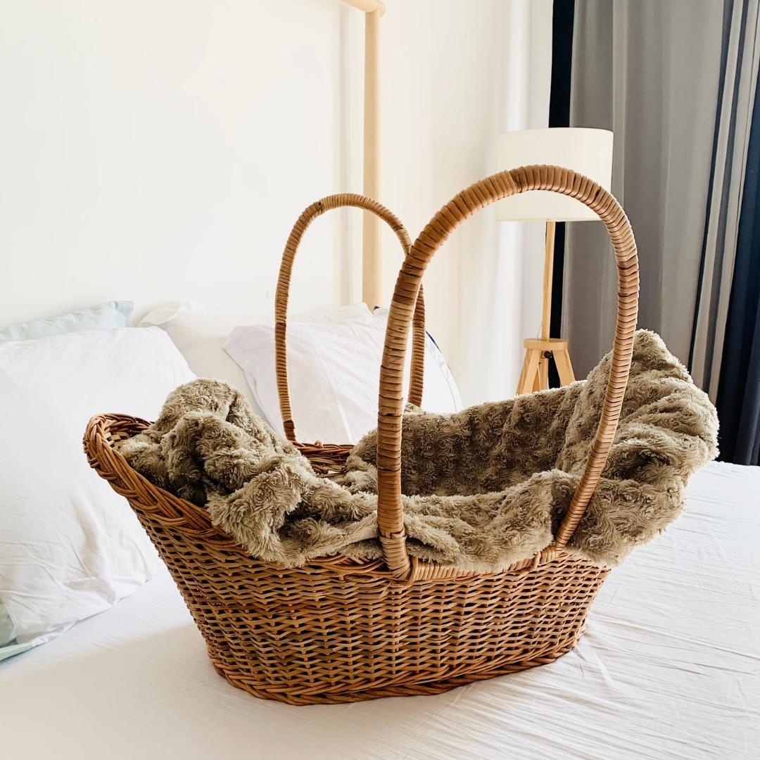 Wicker baby bassinet store baskets