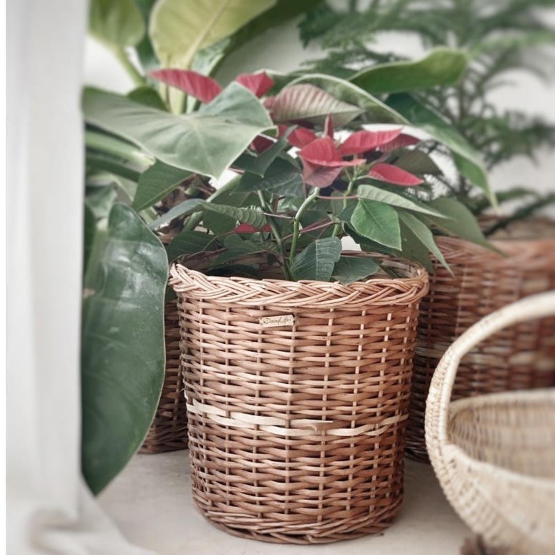 Rattan hot planting basket